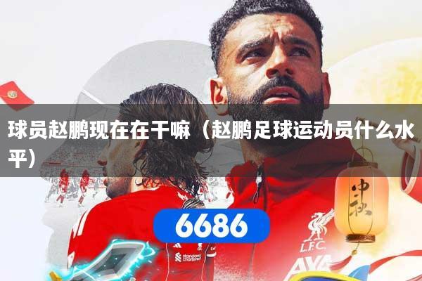 球员赵鹏现在在干嘛（赵鹏足球运动员什么水平）